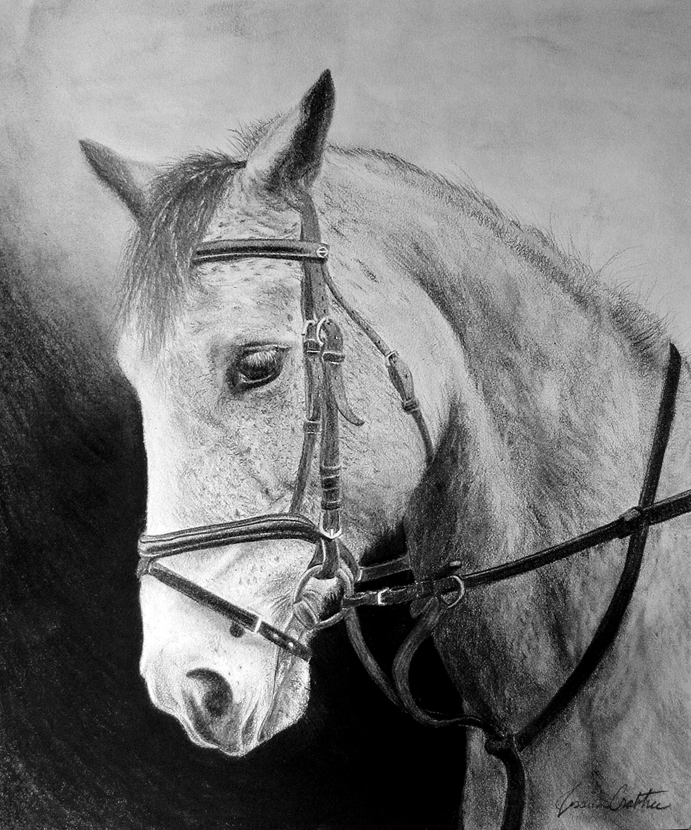 Aces High (8x10 Charcoal & Graphite) Private Collection