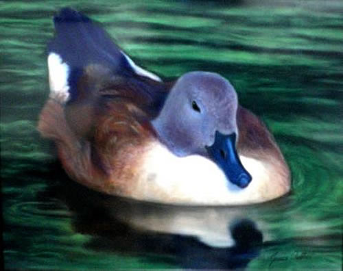 Blue Bill, 8x10 Original Pastel on Suede